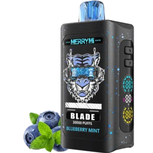 Blade 30K Blueberry Mint