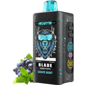 Blade 30K Grape Mint